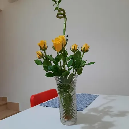 Falanto Apartment *